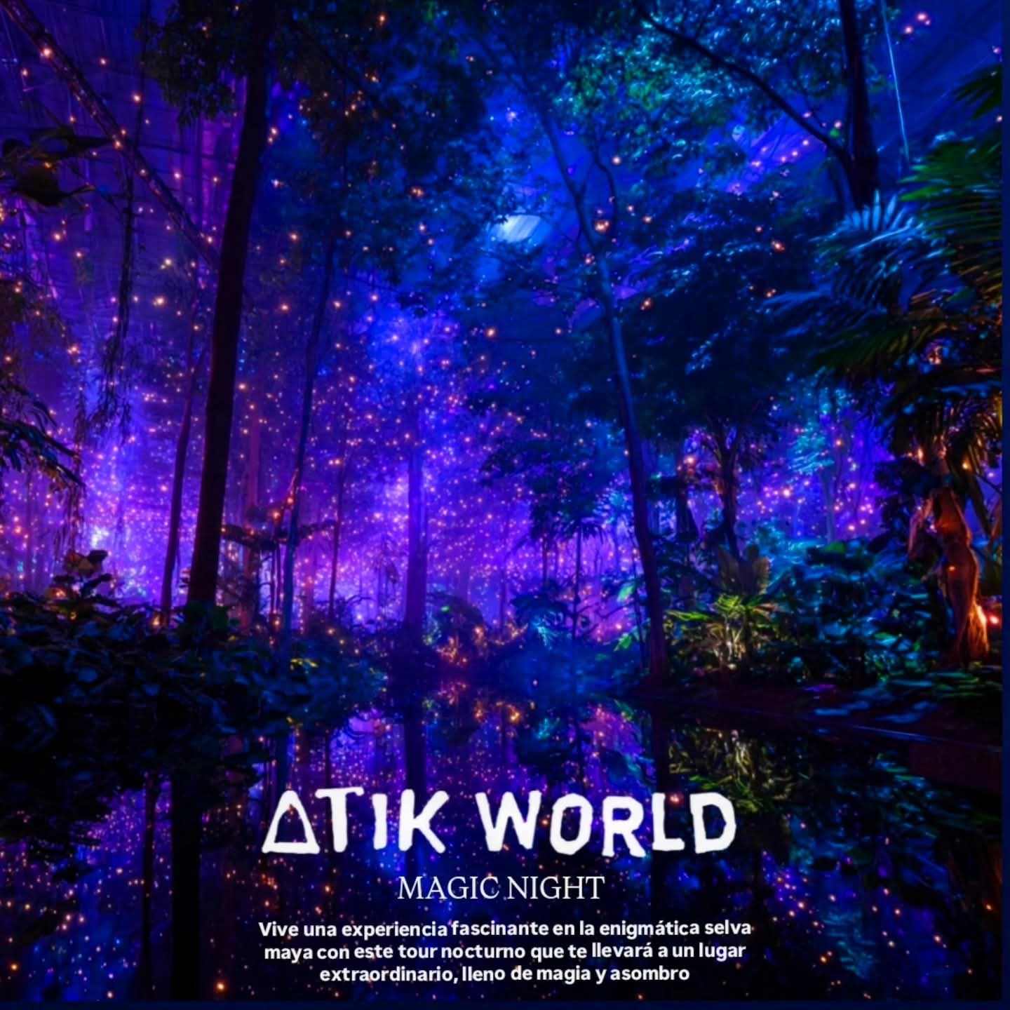 Experiencia Mágica Nocturna/ Magic Night Experience